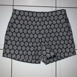 Navy and Ivory Shorts